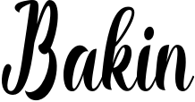 Bakin