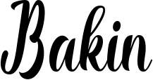 Bakin
