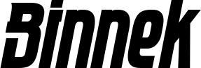 Binnek