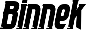 Binnek