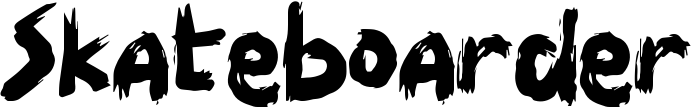 Skateboarder