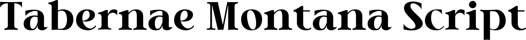 Tabernae Montana Script