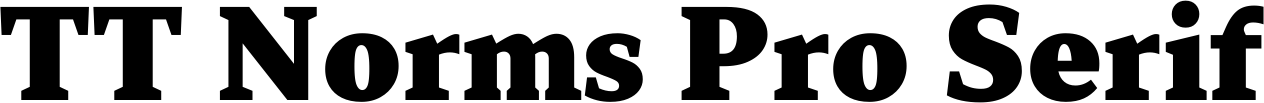 TT Norms Pro Serif