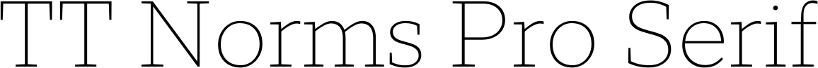 TT Norms Pro Serif