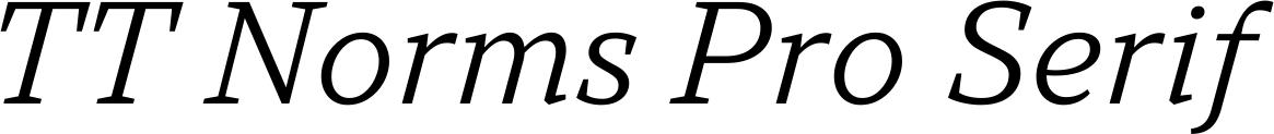 TT Norms Pro Serif