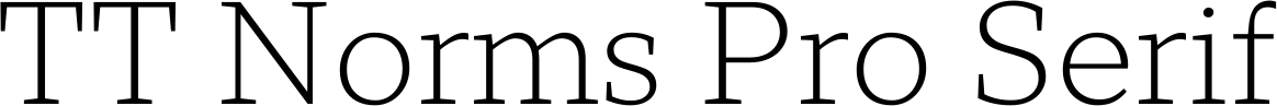 TT Norms Pro Serif
