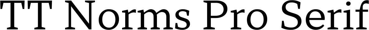 TT Norms Pro Serif