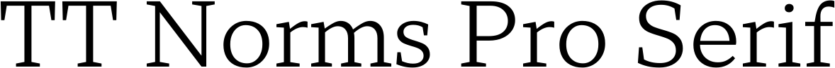 TT Norms Pro Serif