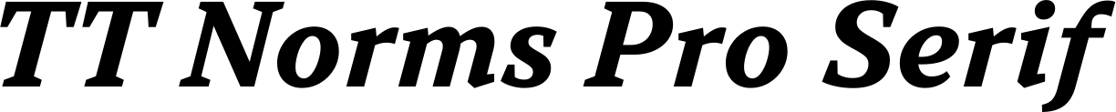 TT Norms Pro Serif
