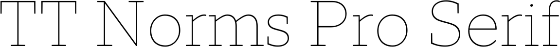 TT Norms Pro Serif