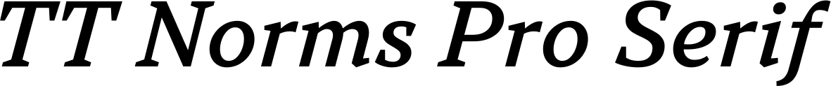 TT Norms Pro Serif