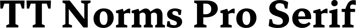 TT Norms Pro Serif