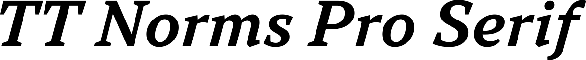 TT Norms Pro Serif