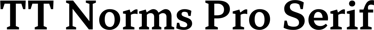 TT Norms Pro Serif