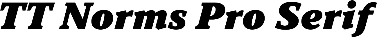 TT Norms Pro Serif