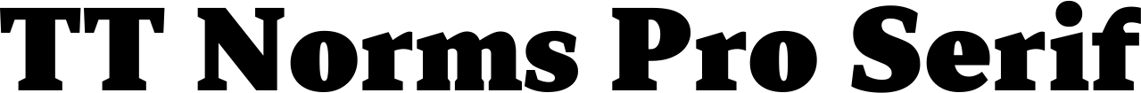 TT Norms Pro Serif