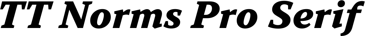 TT Norms Pro Serif