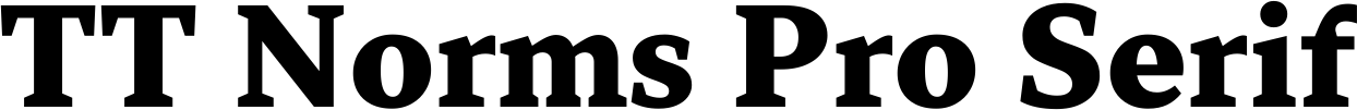 TT Norms Pro Serif