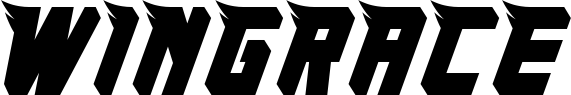 WingRace