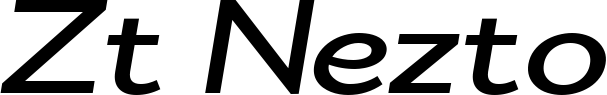 Zt Nezto