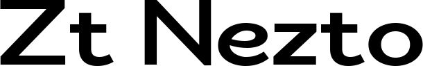 Zt Nezto