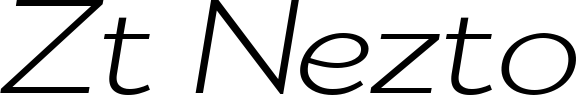 Zt Nezto
