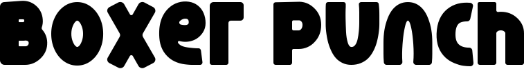 Boxer Punch