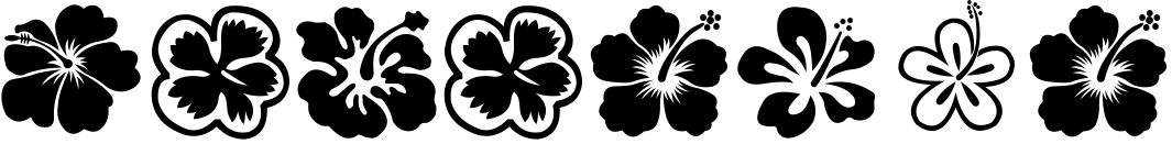 Hibiscus