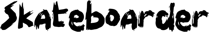 Skateboarder