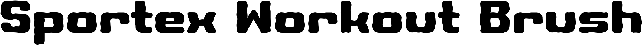 Sportex Workout Brush