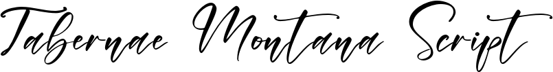 Tabernae Montana Script