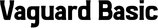 Vaguard Basic