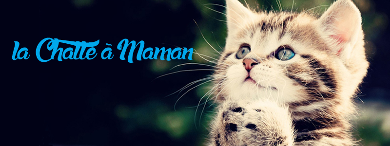 La Chatte à Maman