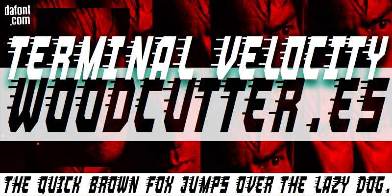 Terminal Velocity