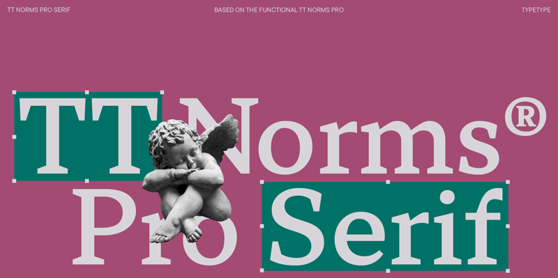 TT Norms Pro Serif
