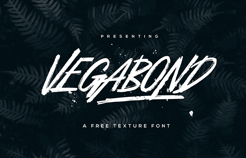 Vegabond